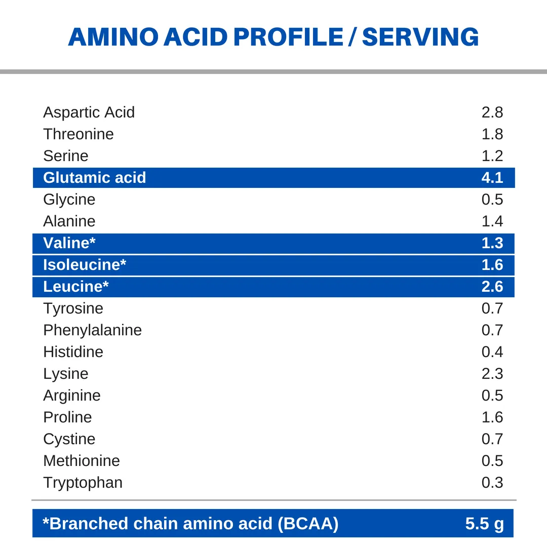 ACTIVE Whey Protein 1lb