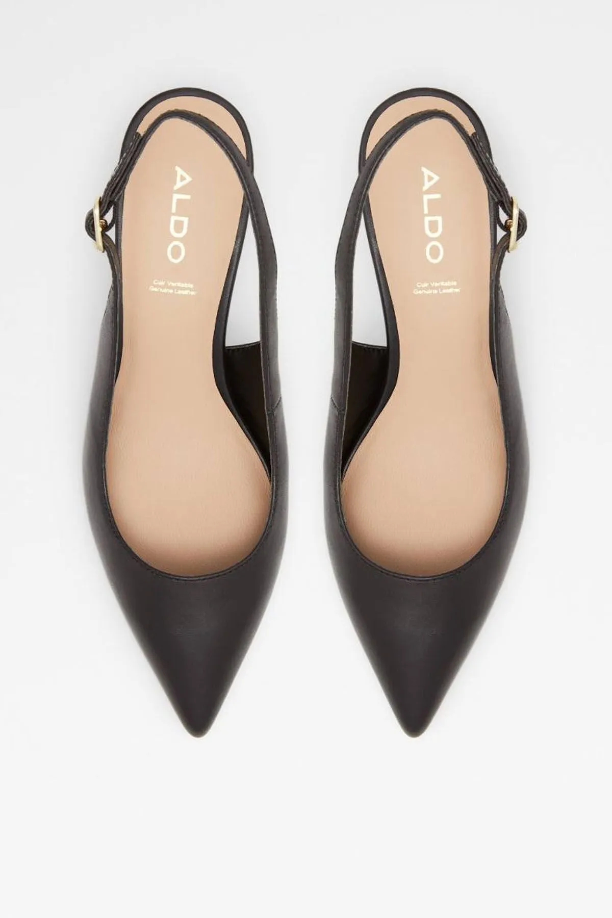 ALDO Carabedar | Heels Black | Women