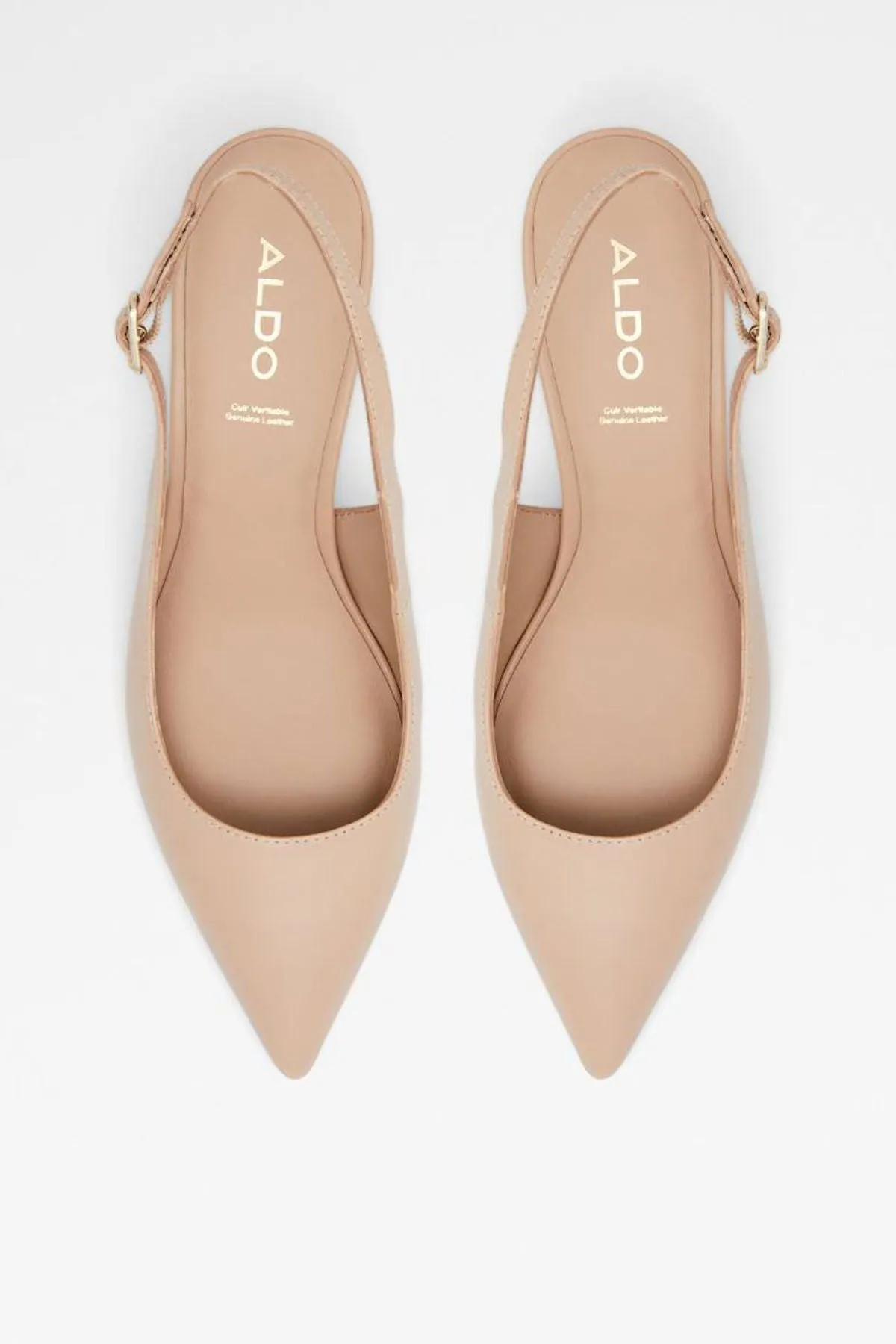 ALDO Carabedar | Heels Bone | Women