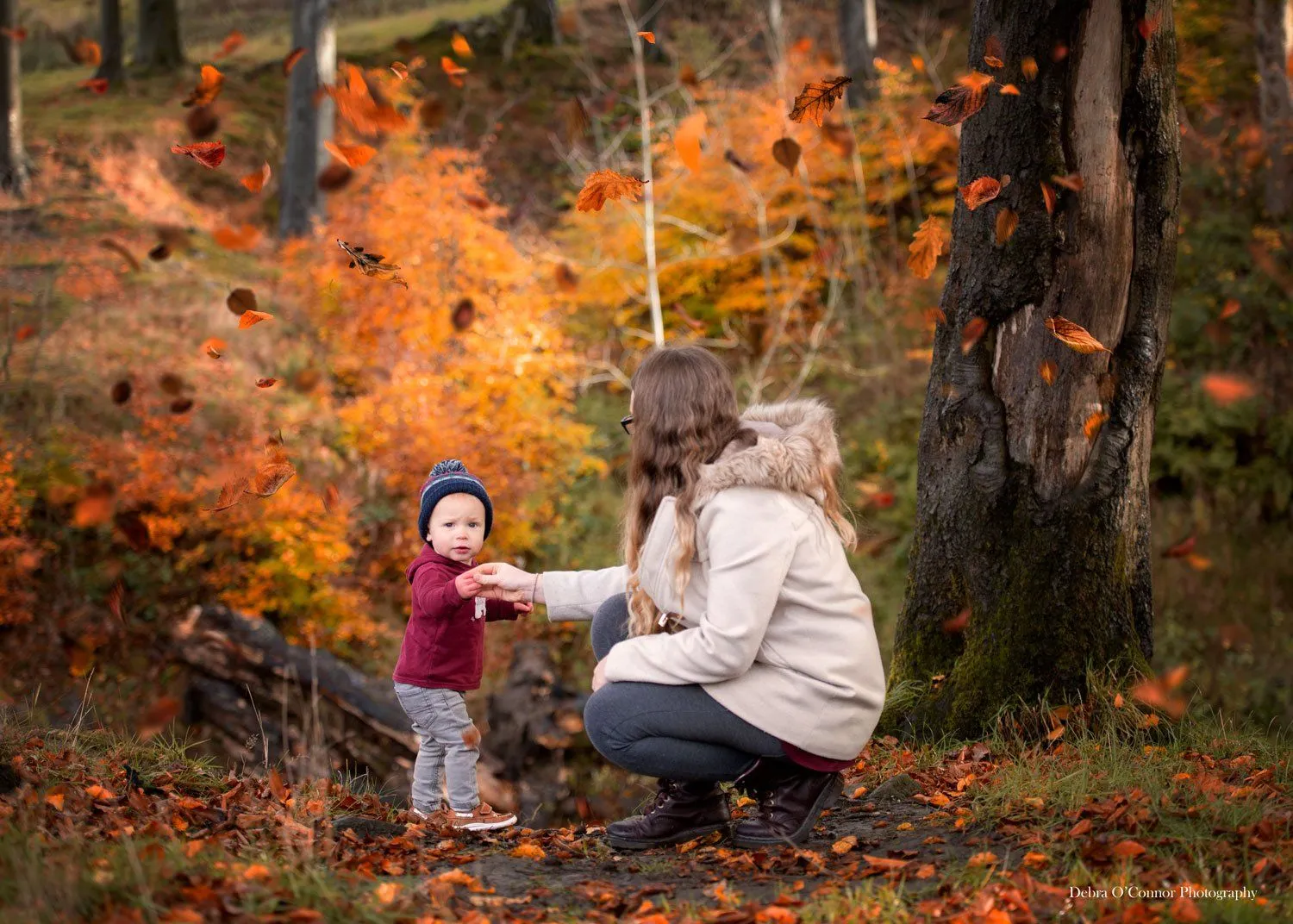 Cinnamon Berry Fall Photoshop Actions