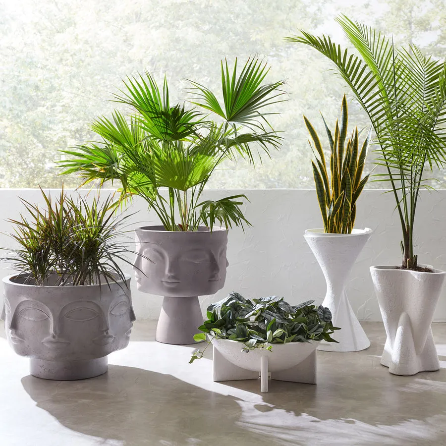 Dora Maar Planter