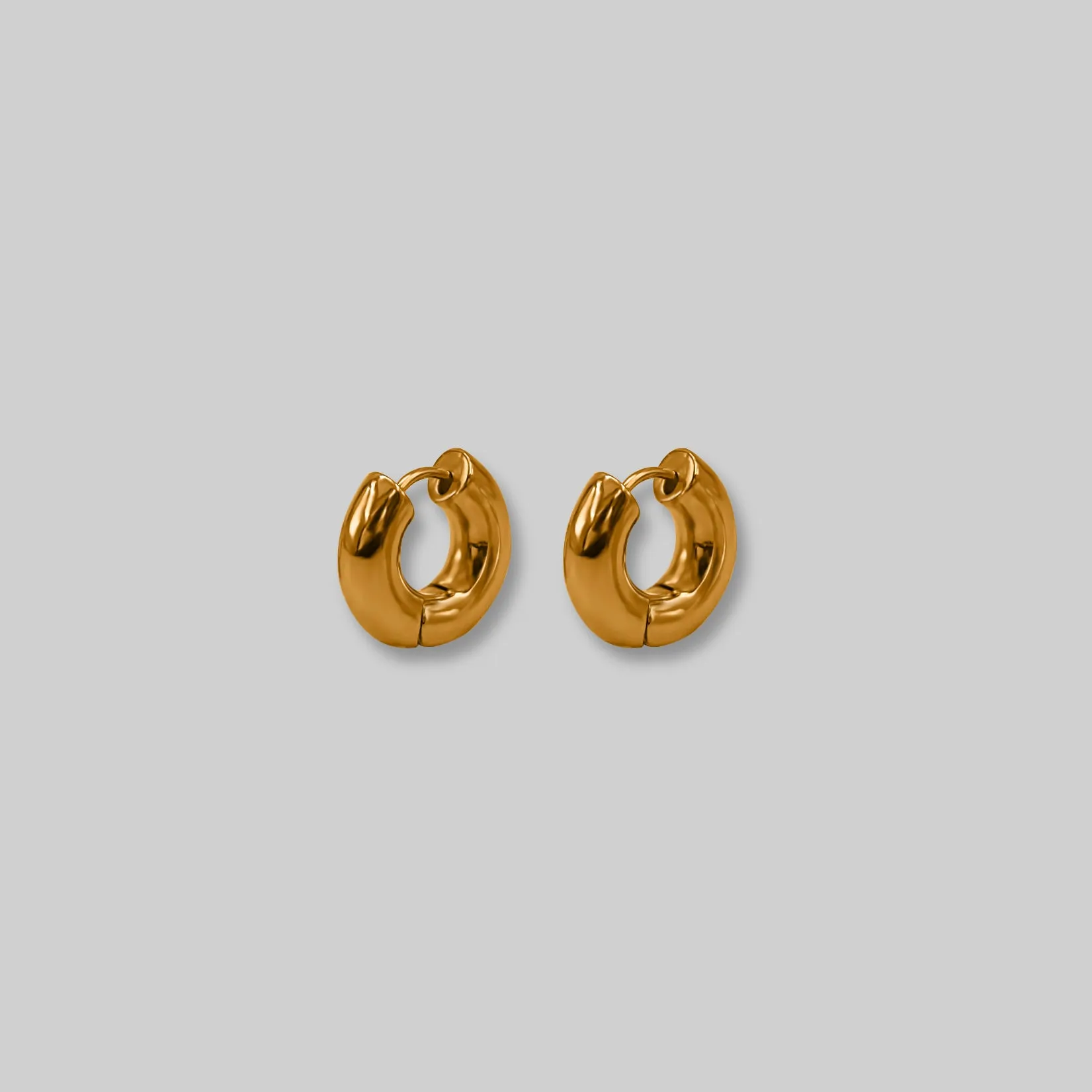 Everyday Hoop Earrings