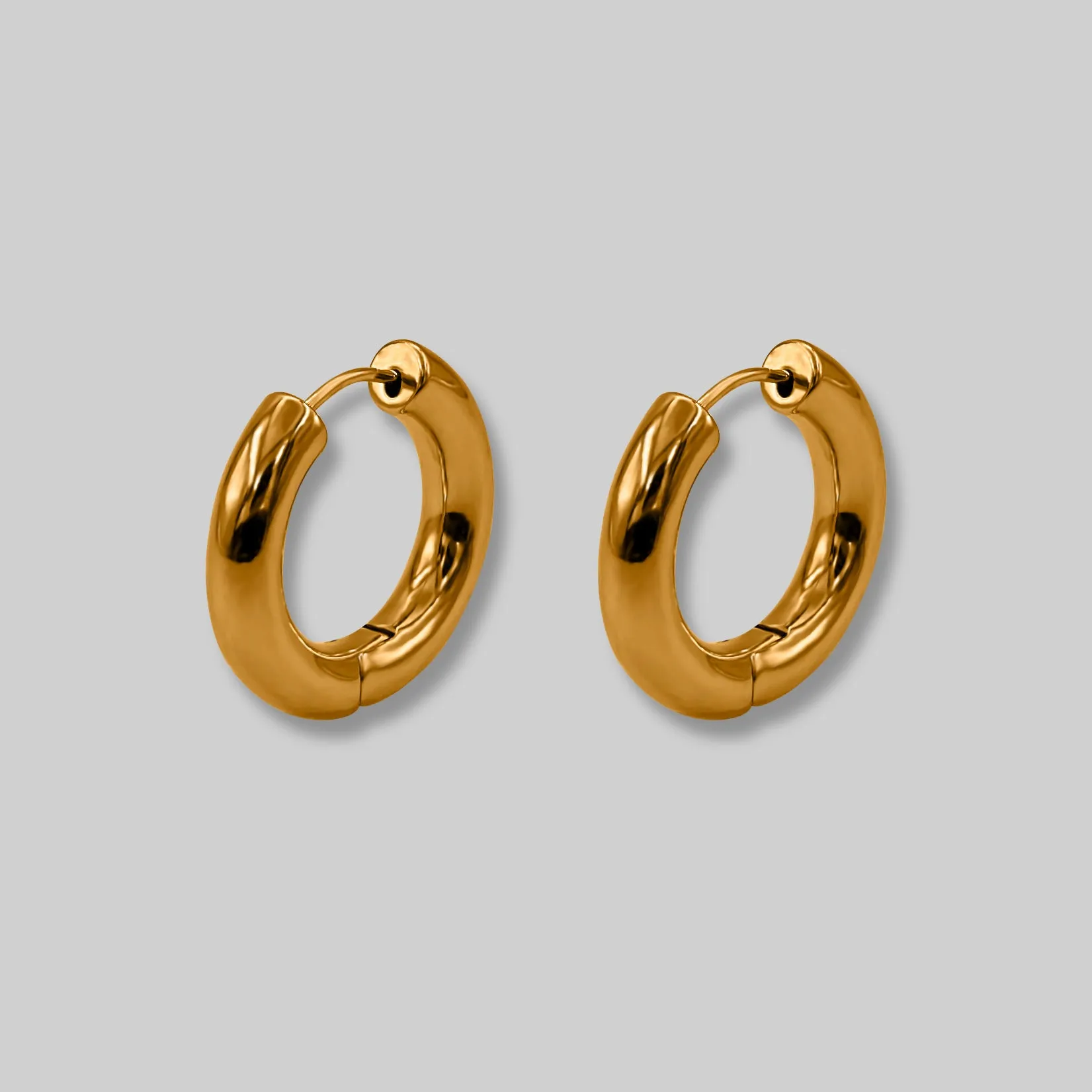 Everyday Hoop Earrings