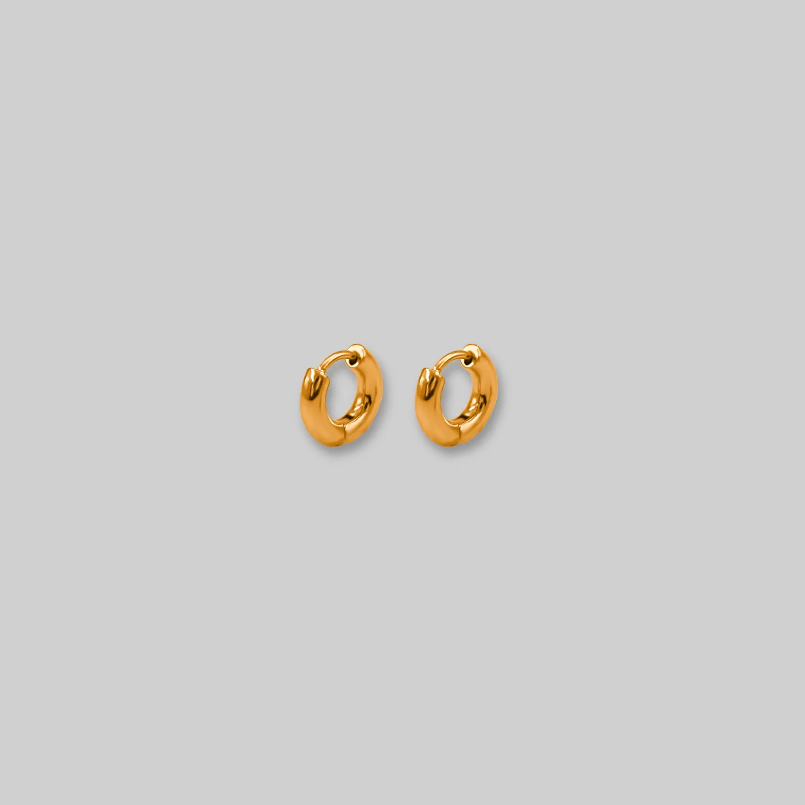 Everyday Hoop Earrings