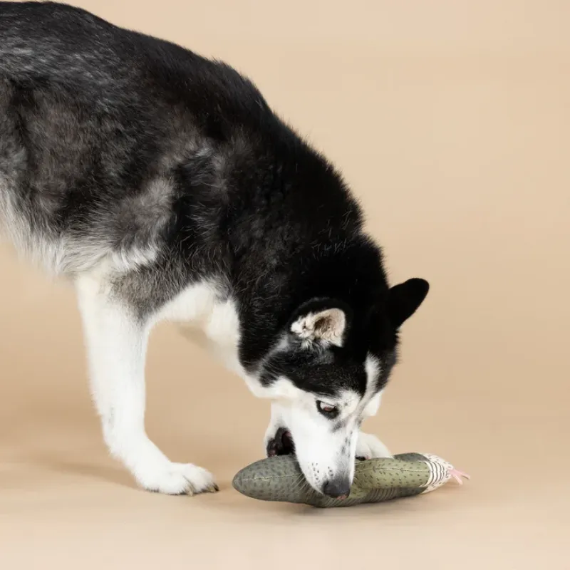 Fringe Studio - I Can Be Bit Prickly Canvas Dog Toy