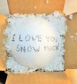 Mail a Snowball