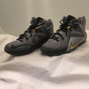 Nike LeBron XII (GS) boys sneakers