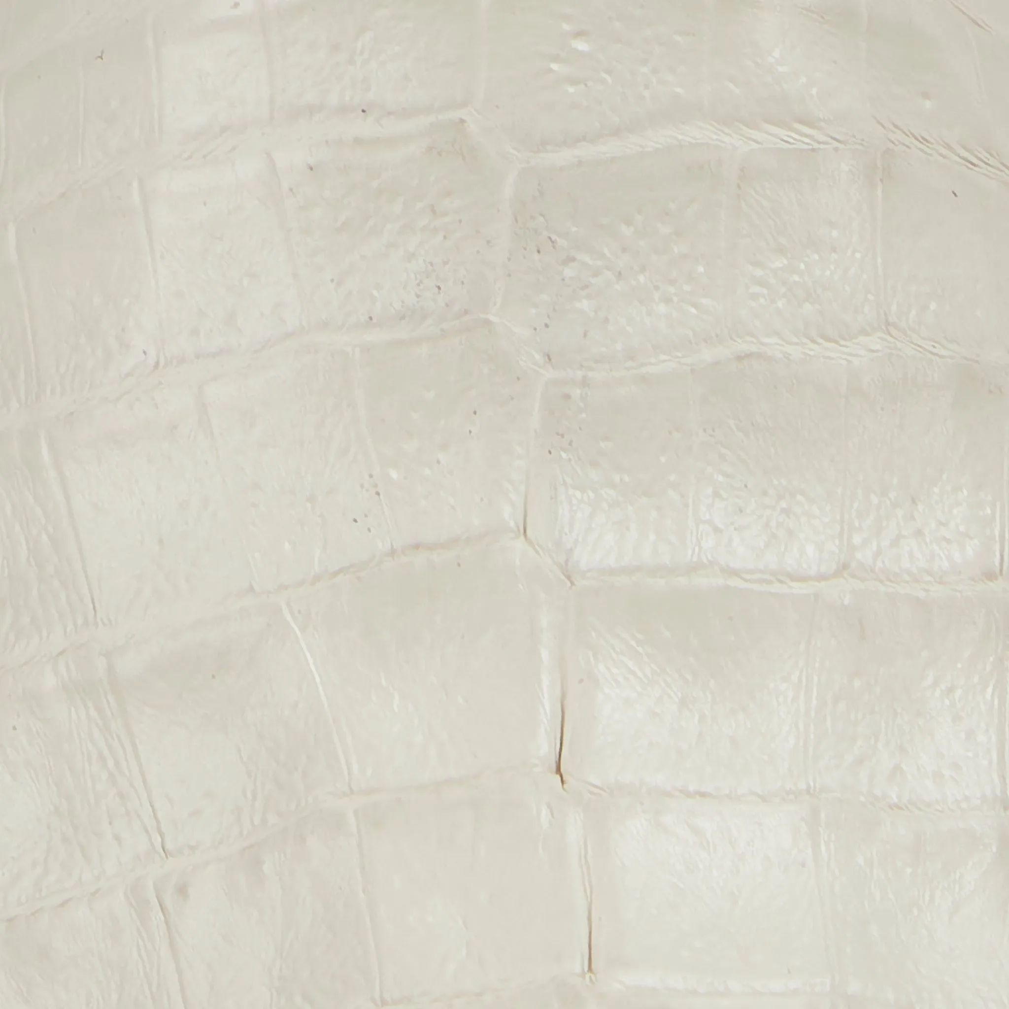 Patti Exotic :: Cream