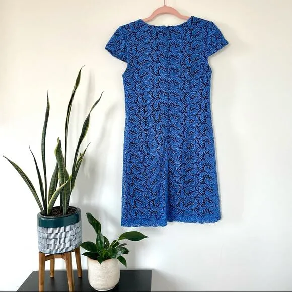 [Pim   Larkin] Blue Lace Short-Sleeve Shift Dress