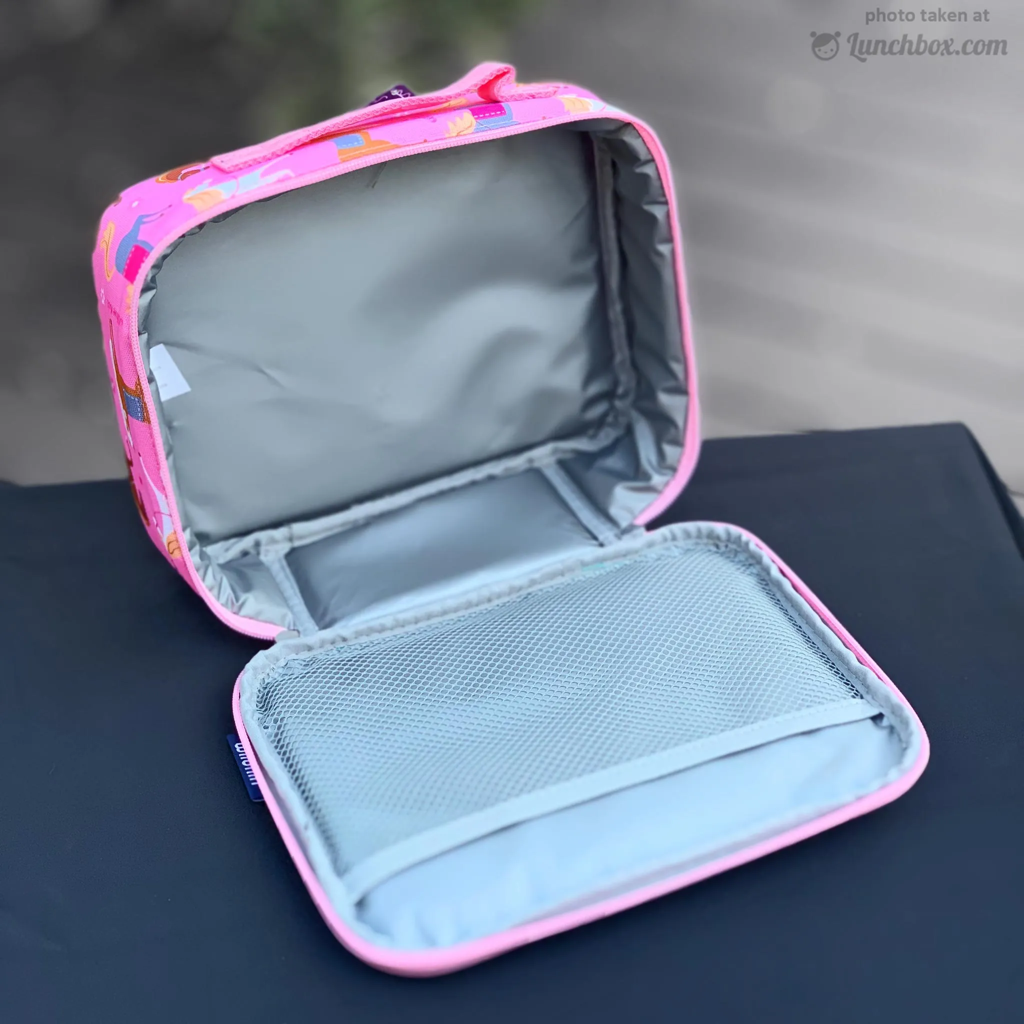 Pink Horses Lunch Box