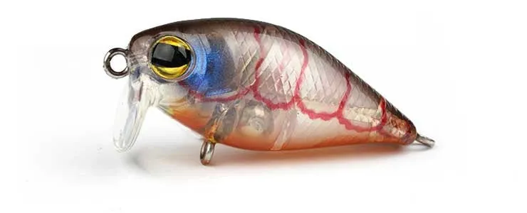 Pro Lure Prolure XS36 Extra Shallow Crank Hard Body Lure