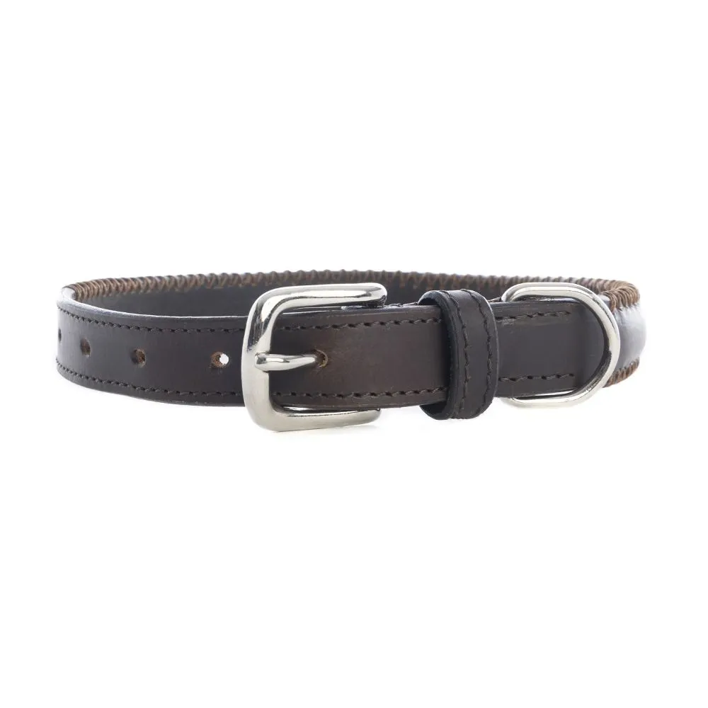 Rio Correr Dog Collar in Chocolate