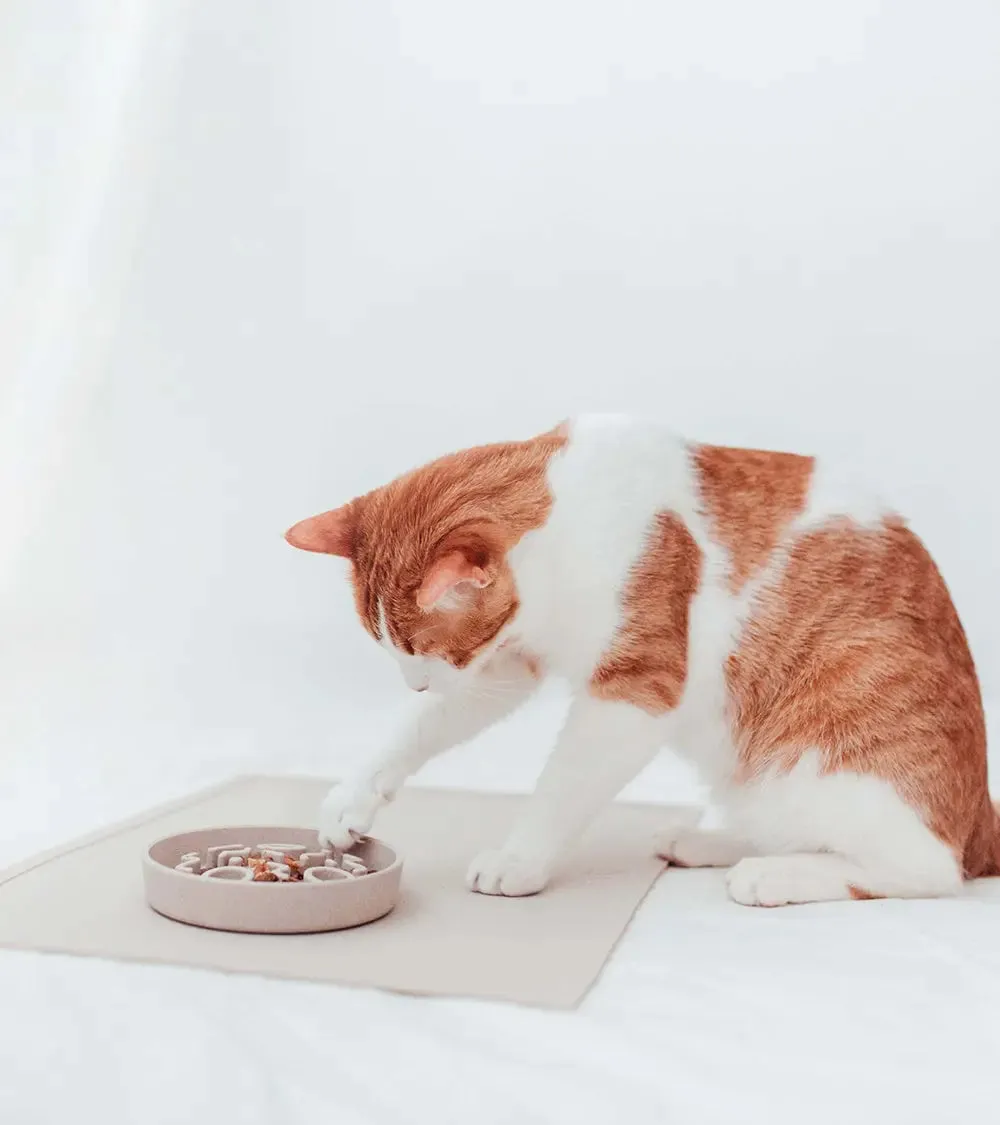 SERVE - Stylish Placemat